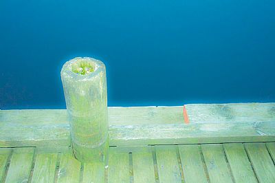 Anne Mette Strmsnes - Grnn kai